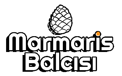 Marmaris Balcısı | 100% Gerçek Doğal Çam Balı Çeşitleri | Çiçek ve Karakovan Balı | Petek balı